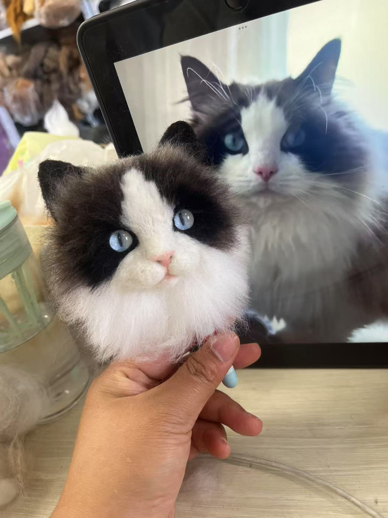 Customized Pet Ornaments