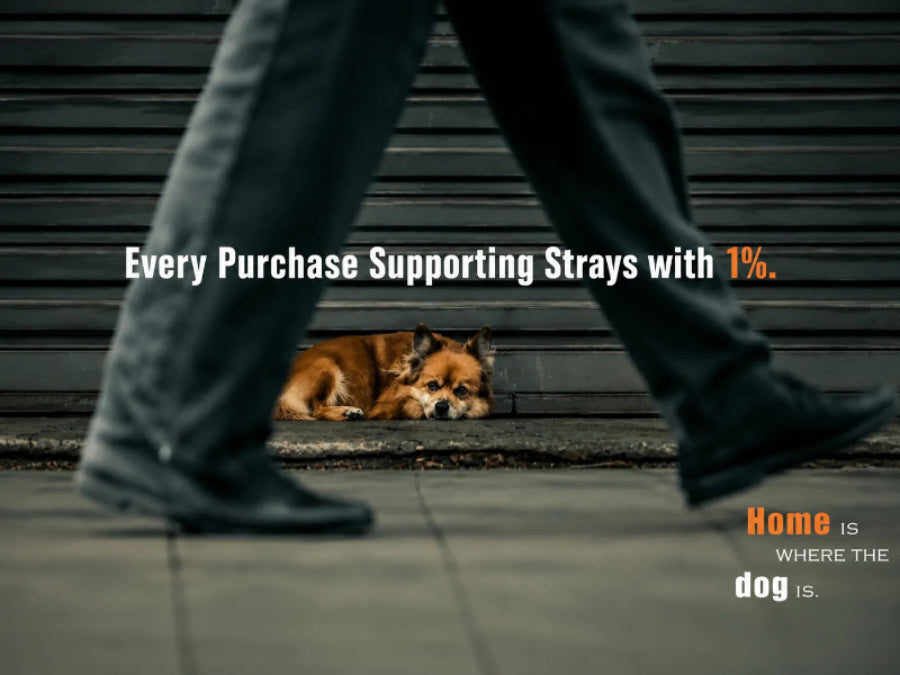 every purchase supporting strays with 1%