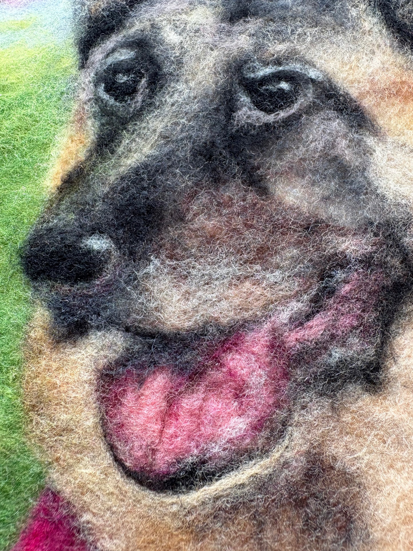 Wool-Painted Portraits