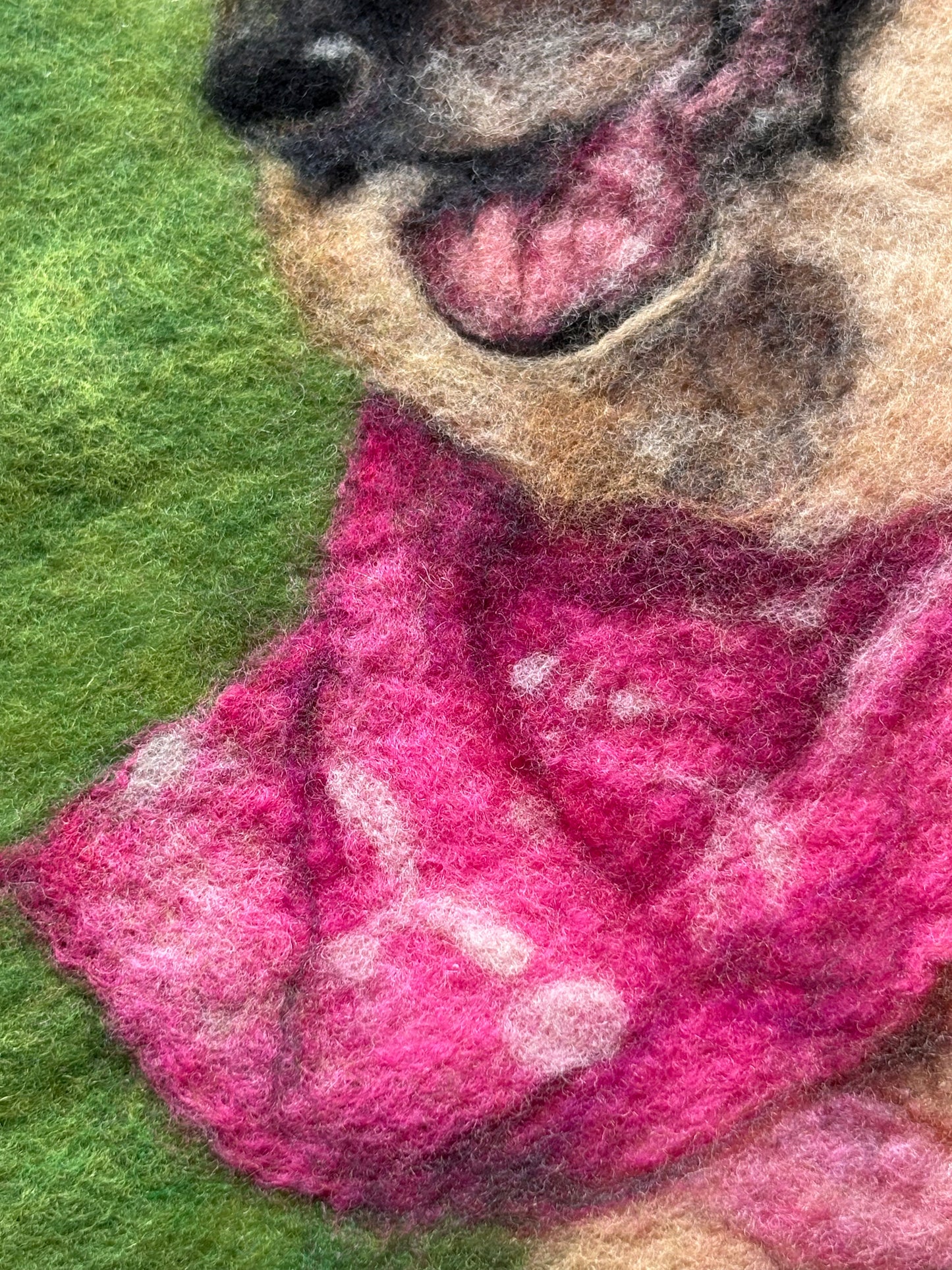 Wool-Painted Portraits