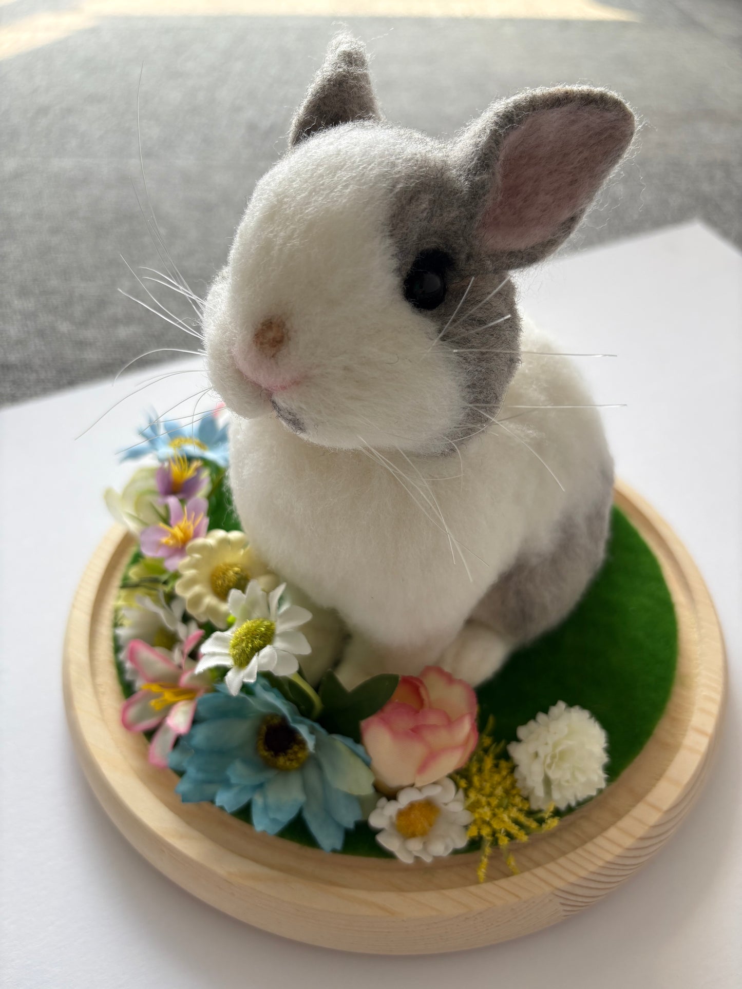 Exotic pets Miniatures