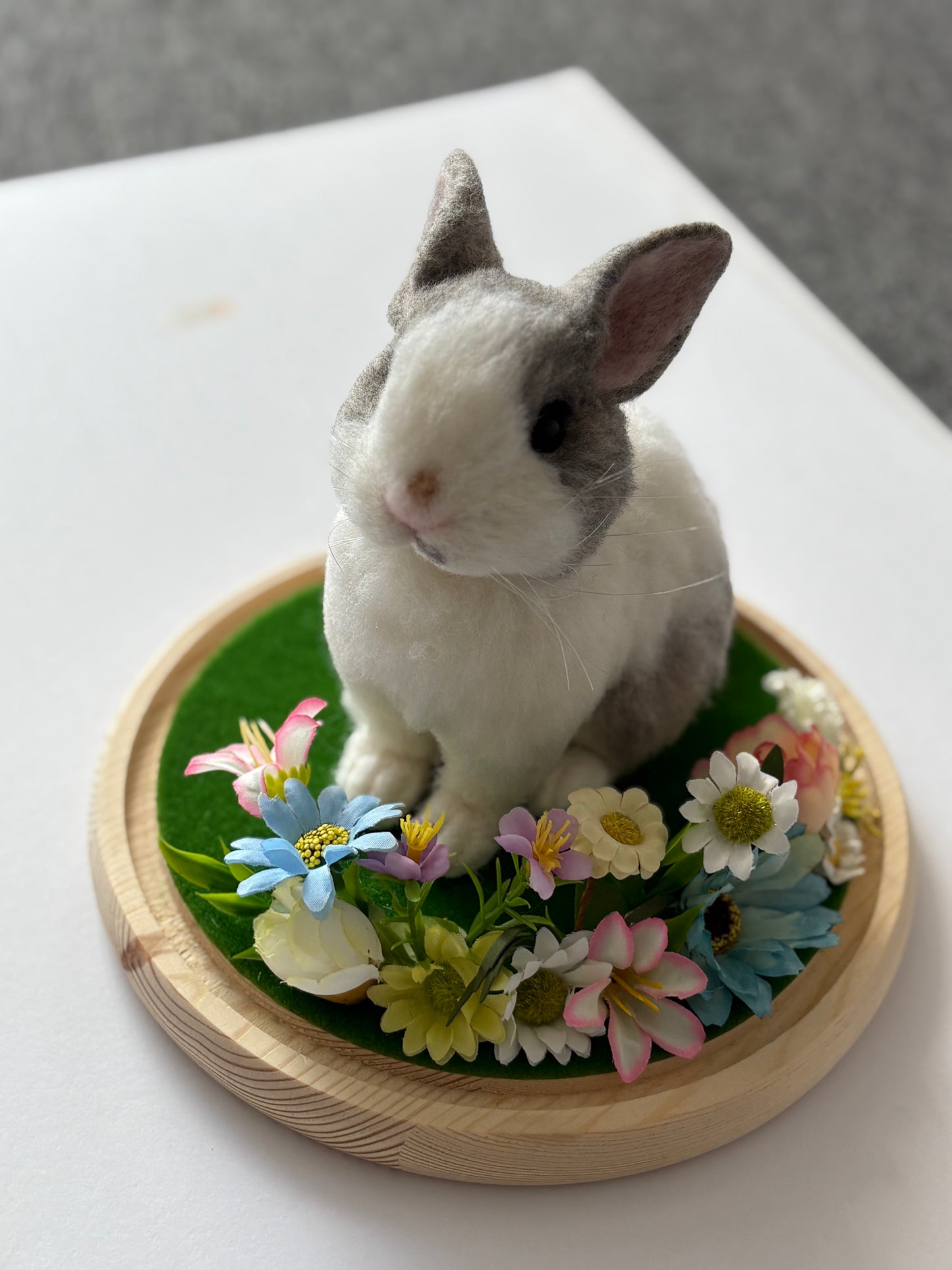 Exotic pets Miniatures