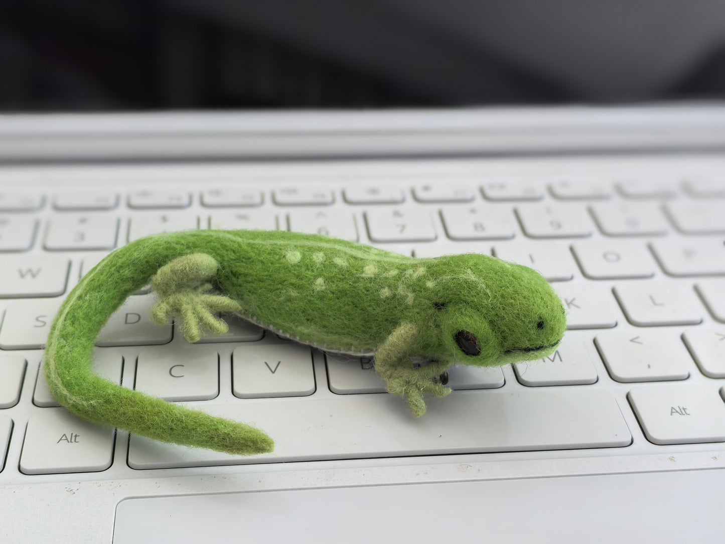 Exotic pets Miniatures