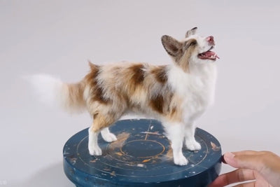 Finally, I was back with my master.