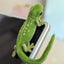 Exotic pets Miniatures