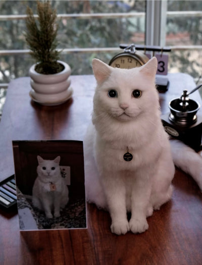 Customized Pet portrait over 30cm