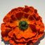 Wool-Painted Portraits (Flower-palm）