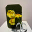 Wool-Painted Portraits (Flower-palm）