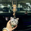 Customized Pet Ornaments