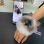 Customized Pet Pin