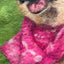 Wool-Painted Portraits