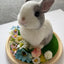 Exotic pets Miniatures