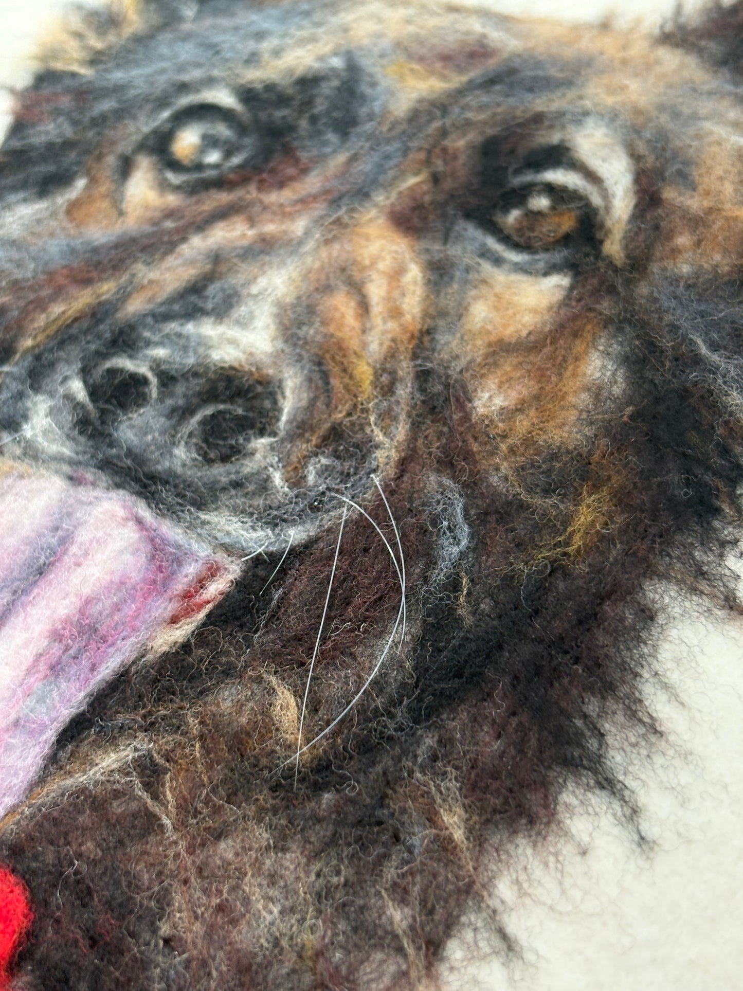 Wool-Painted Portraits （Artist Special）