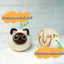 3-Pack 100% Wool Pets Felt Balls Needle Felting Dryer Balls