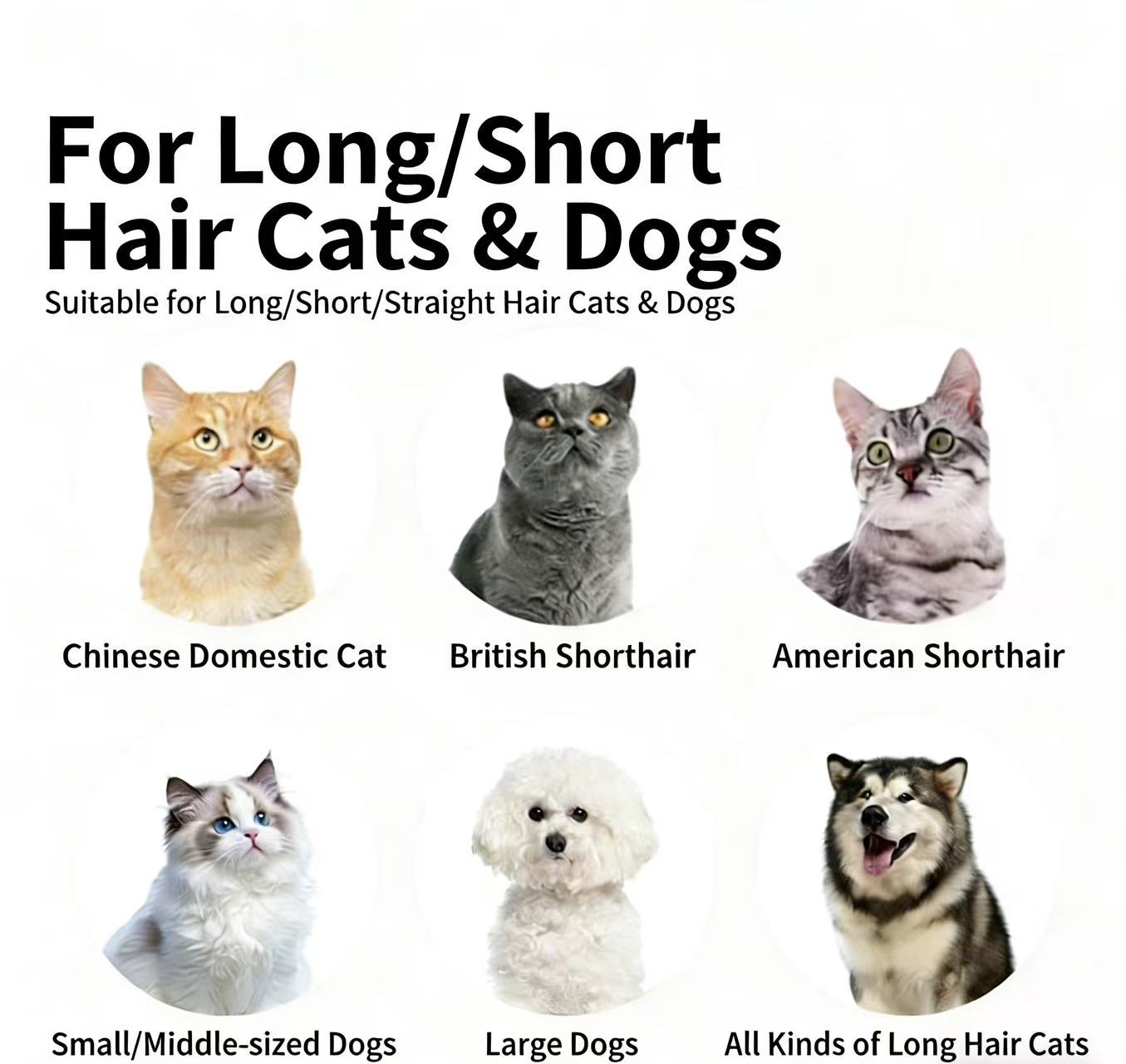 Pet Hair Removal Comb Cat Brush